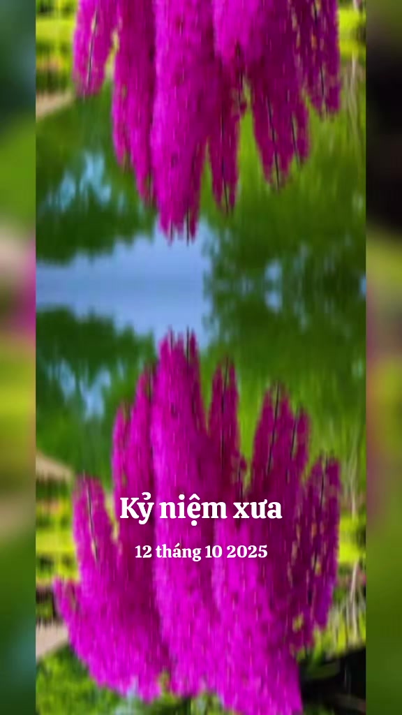 @nguyễn dung