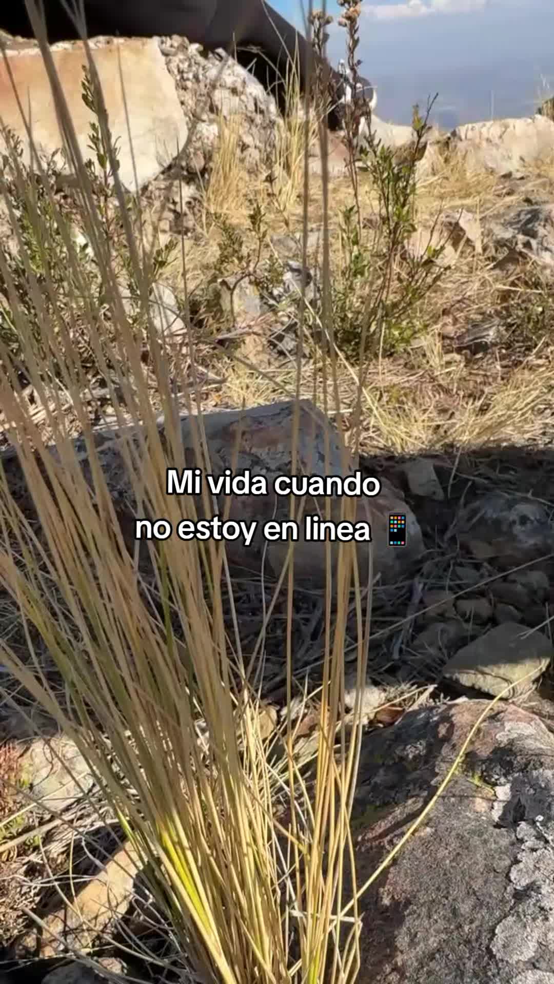 @Isabel Canaza | Psicóloga