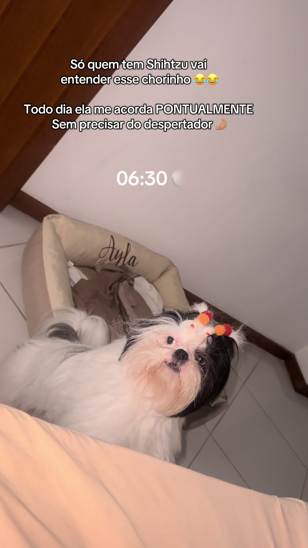 @Iara Carvalho