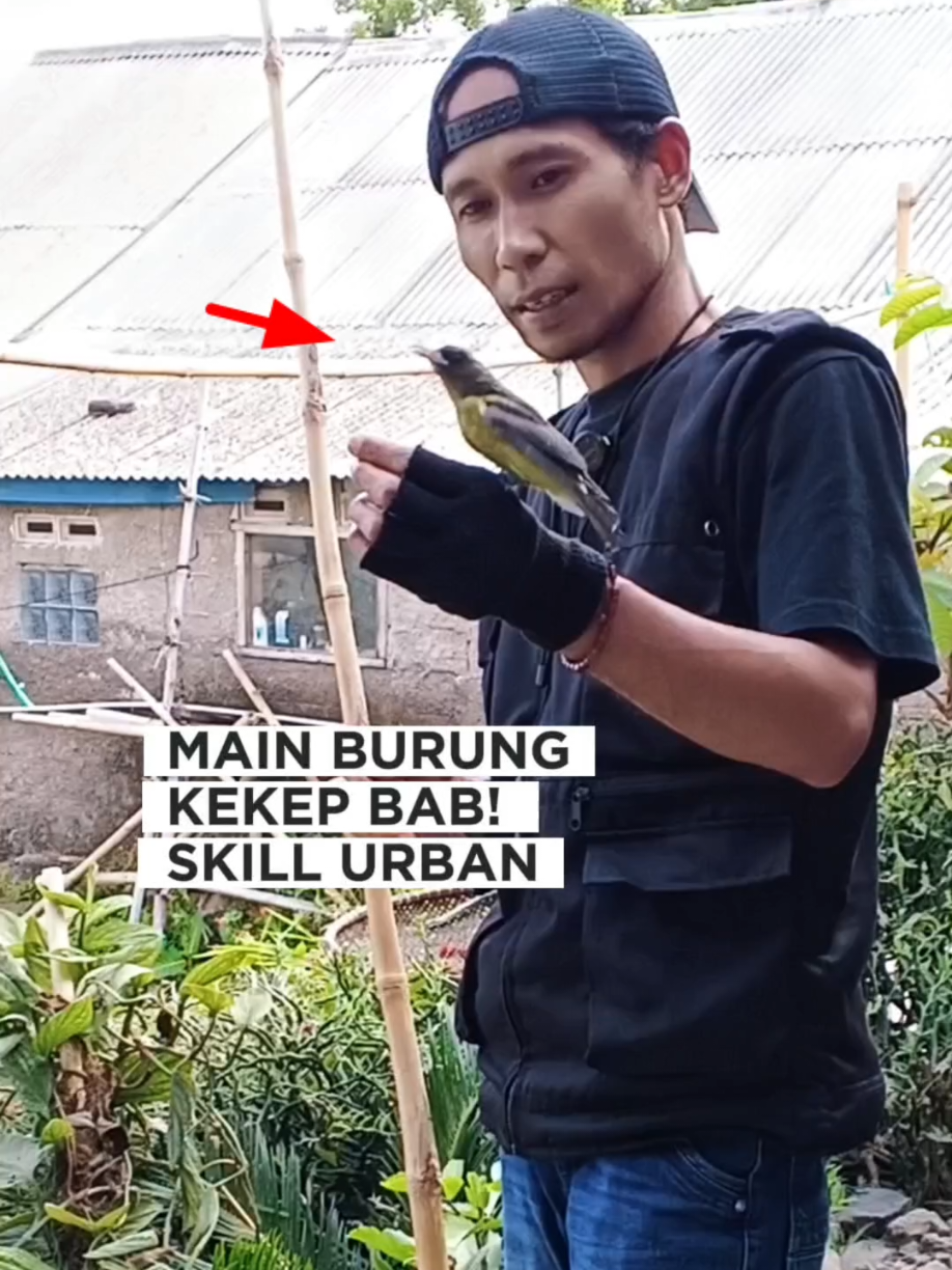 @BANG LEYON
