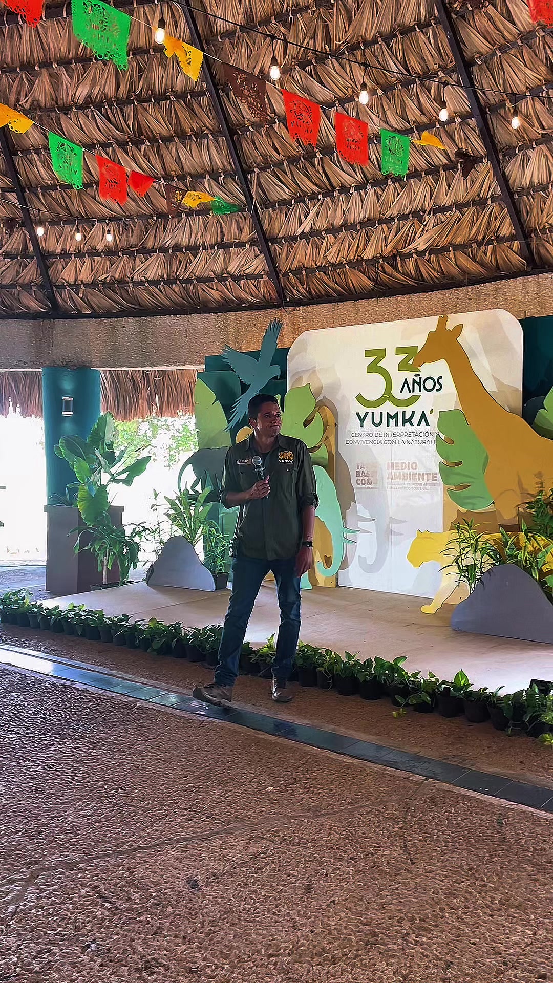 @YUMKA ANP