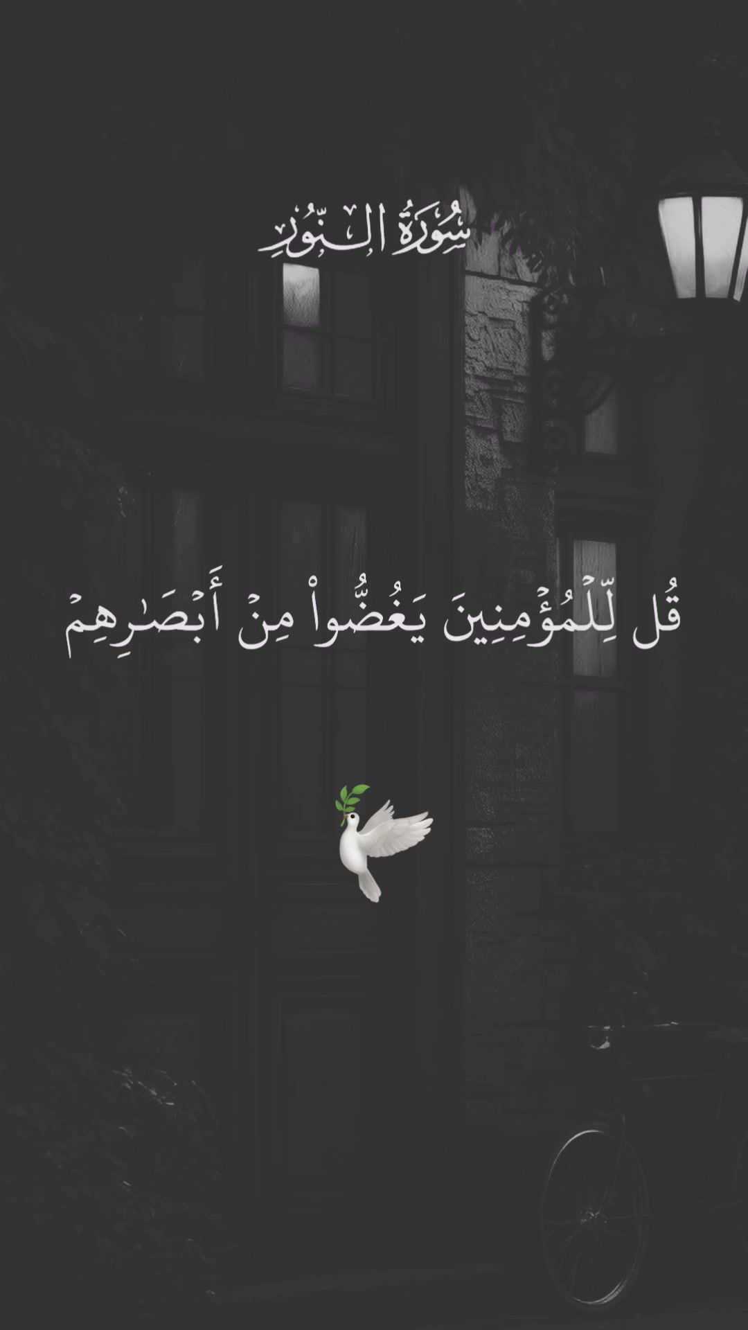 @القرآن الكريم 🕊🎧