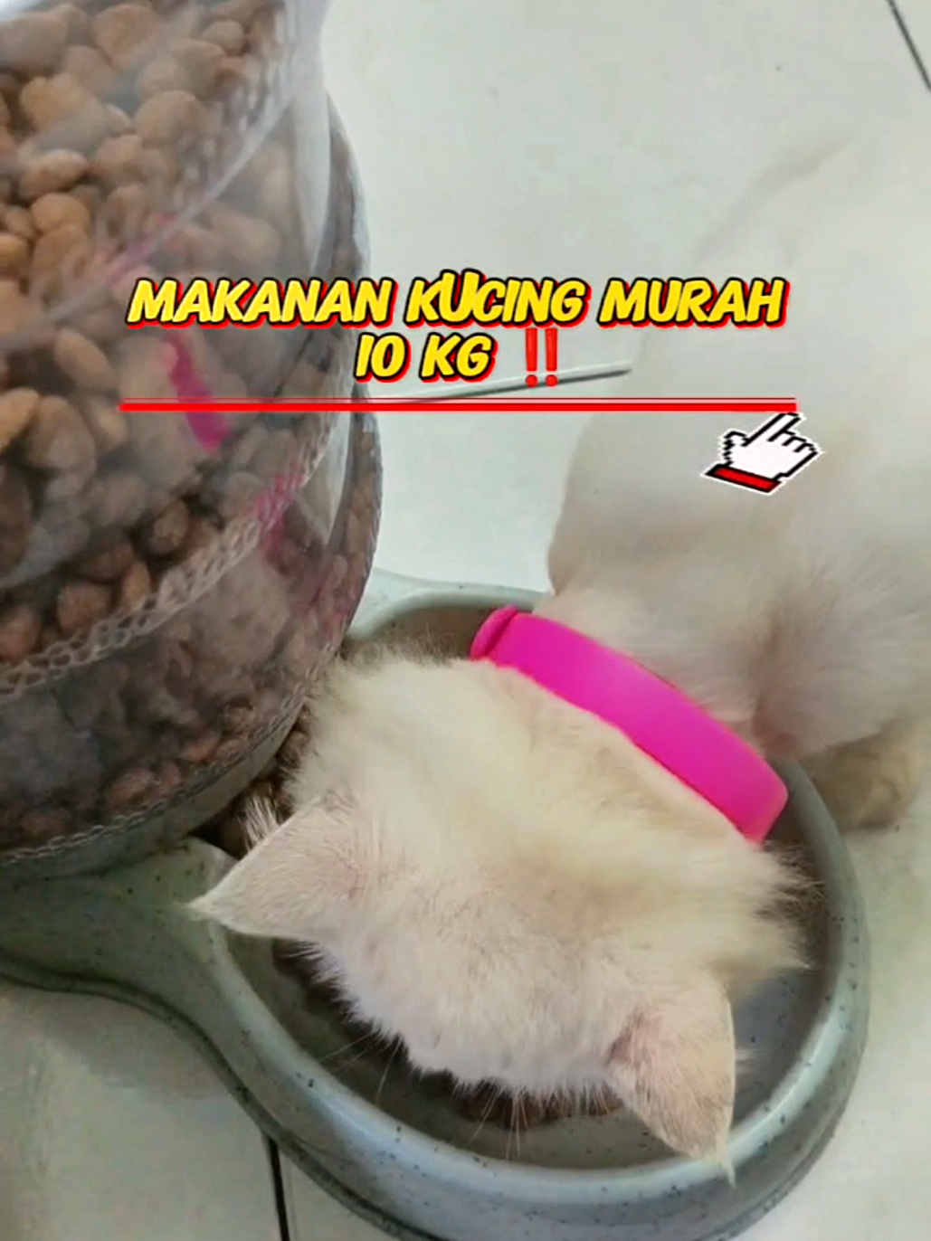 @Norazrena | Racun Tiktok
