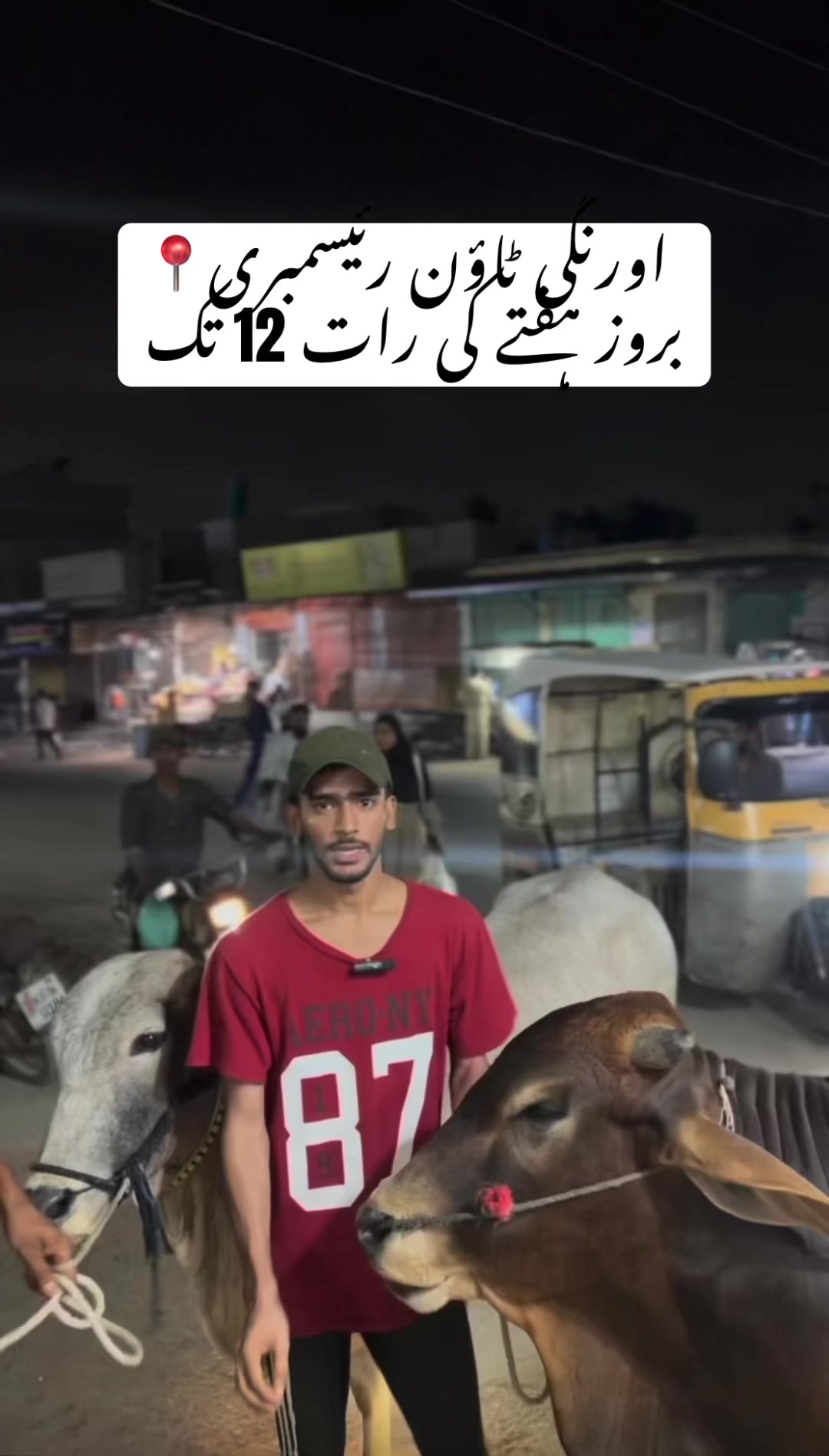 @Cattle_Guy’s