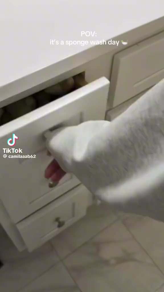 @🖕las historias más insanas🖕