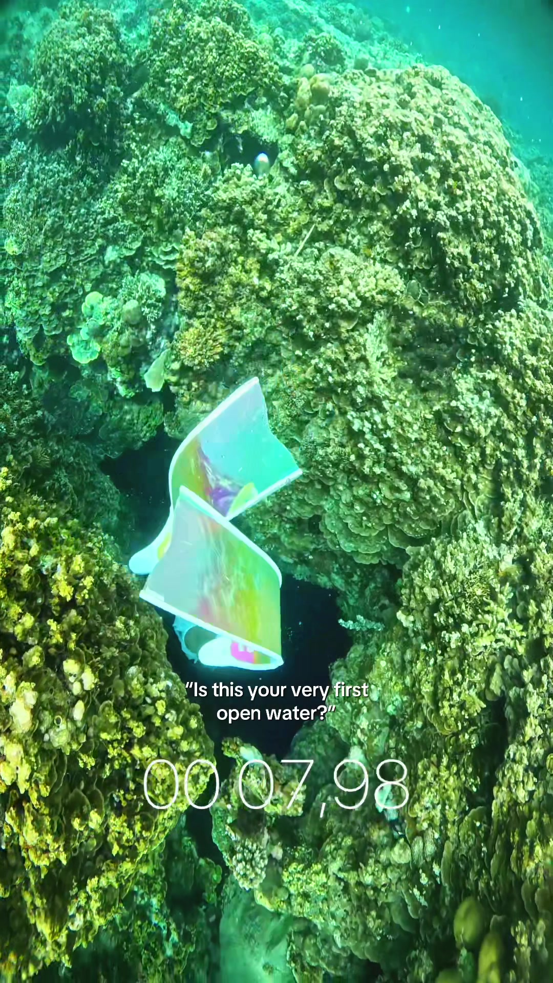 @ִֶָ𓂃 ࣪ ִֶָ🦢་༘࿐