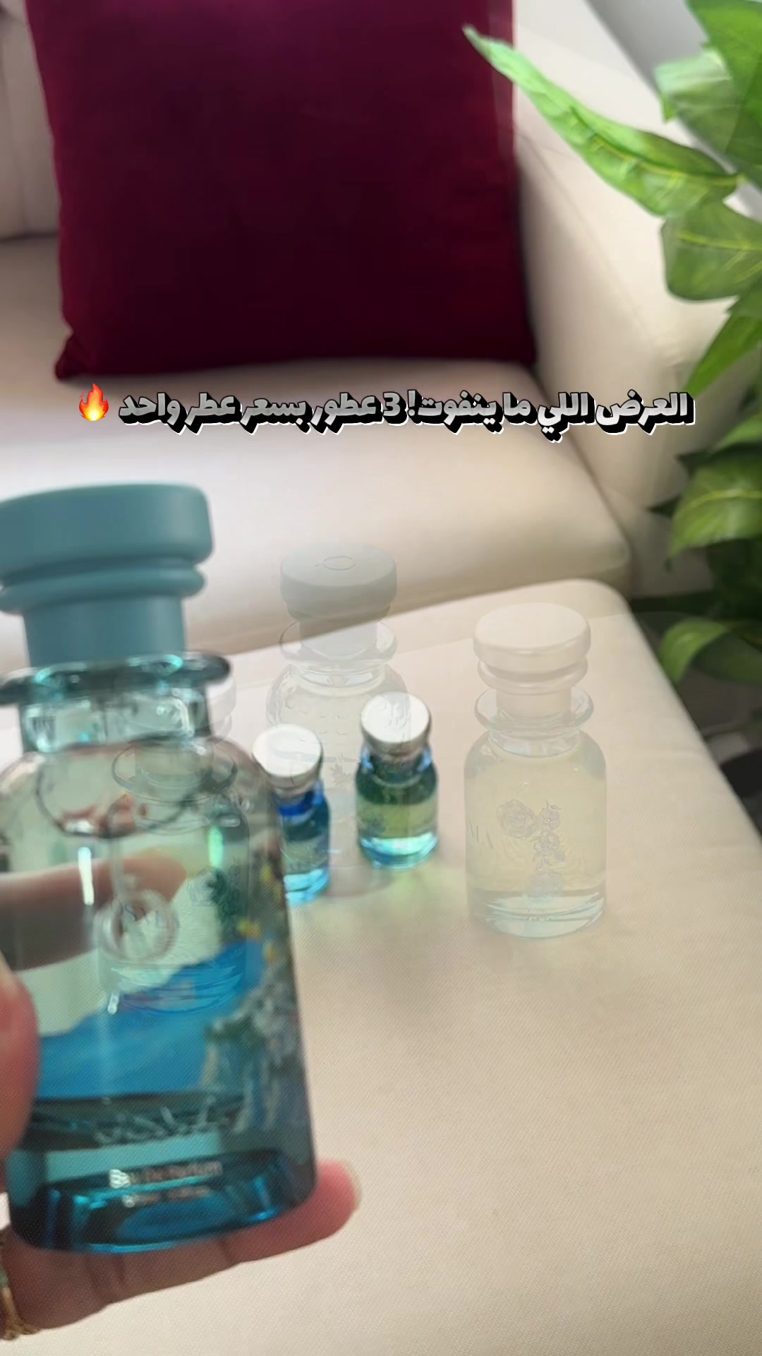 @ريم محمد مرخصة إعلامياً 📸