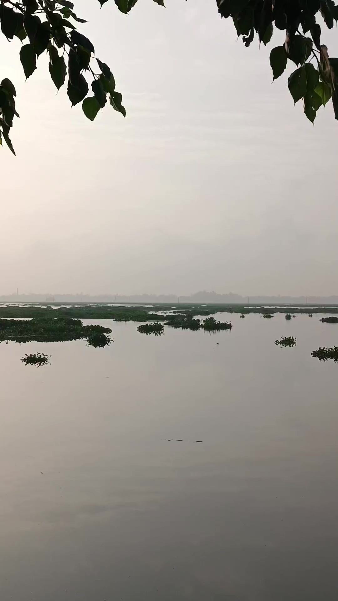 @❤️🅡🅐🅝🅐❤️`ঝরা পাতাシ❤️