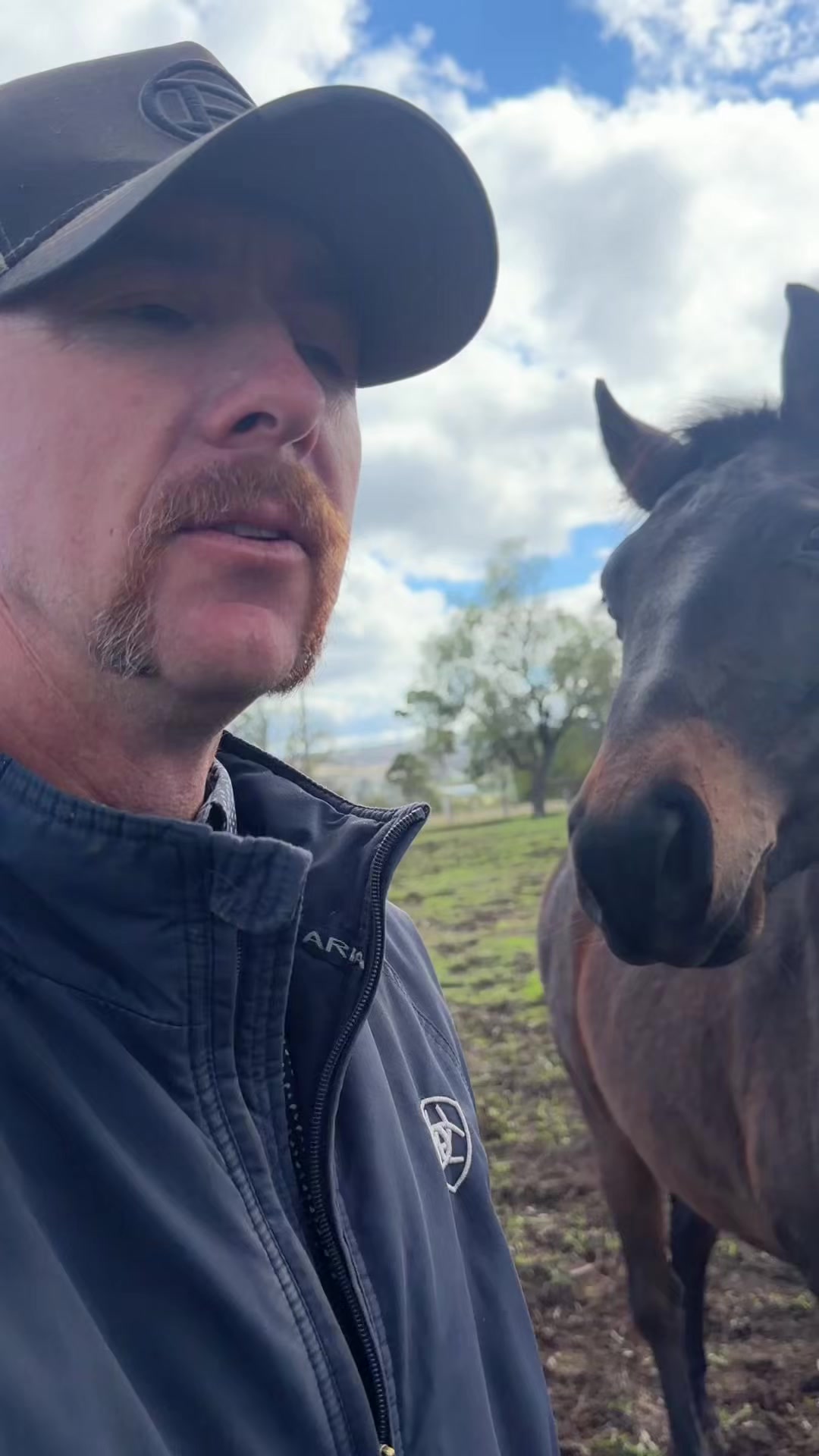 @KimDaleyhorsemanship