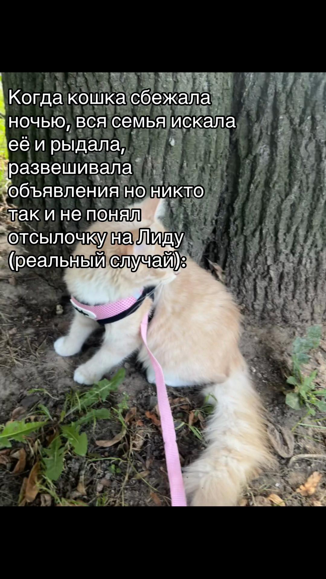 @🌸|| 𝓡𝓪𝓰𝓱𝓪𝓽𝓪||🌾