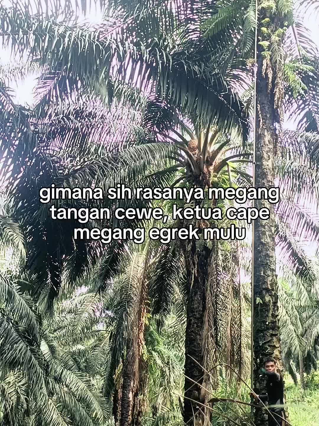 @27℅