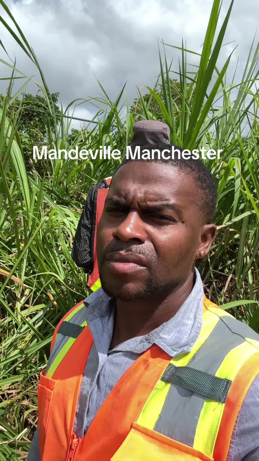 @jamaicasurveyors