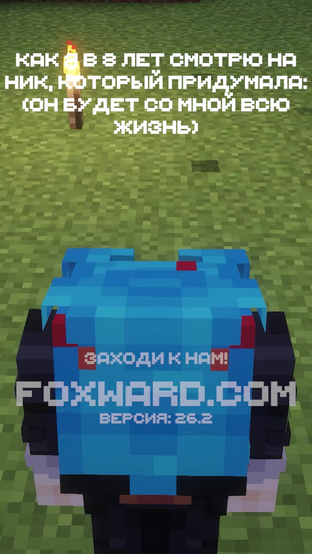 @🍄 приватный ванильный сервер