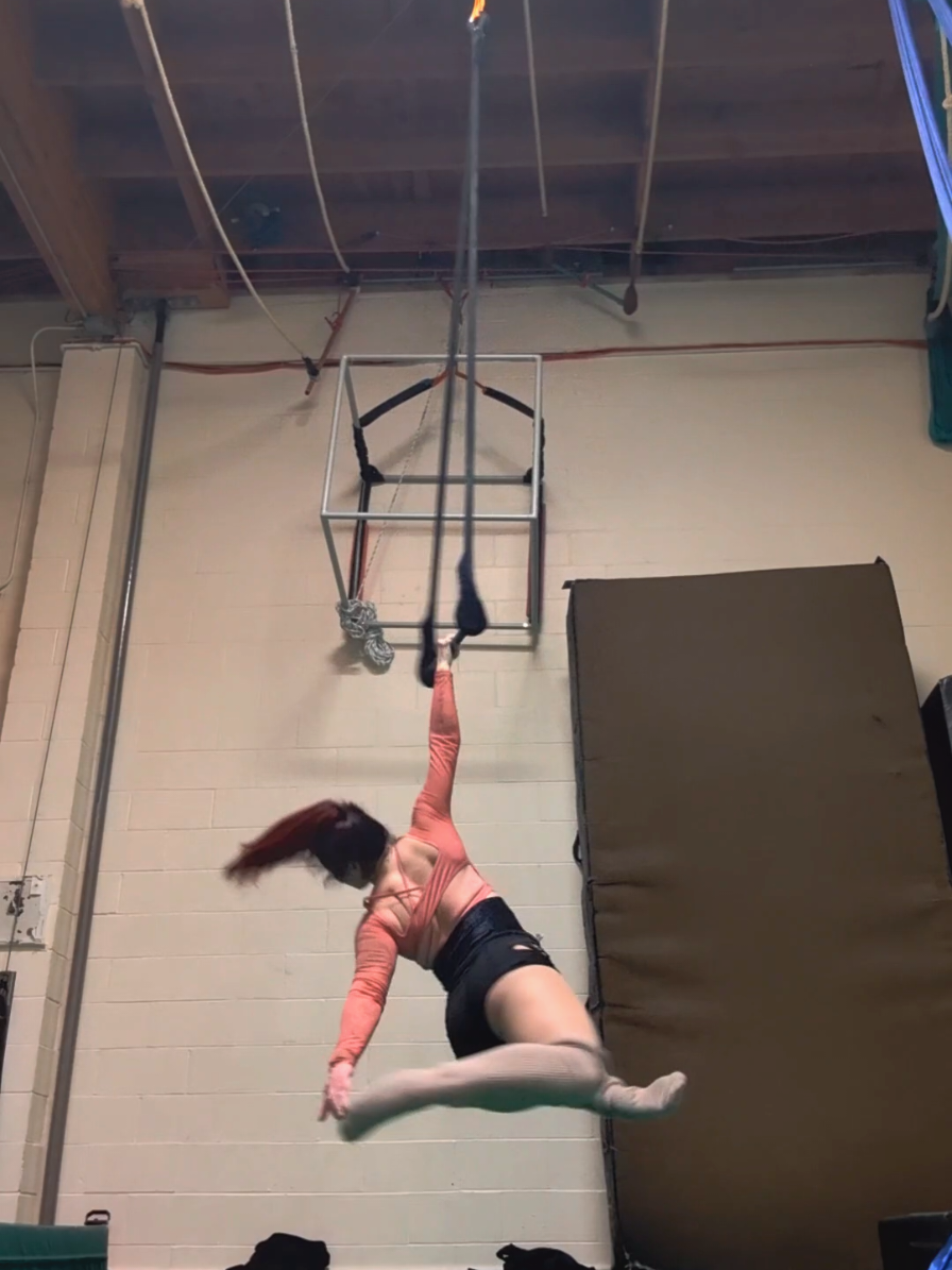 @Lauren Tatasciore