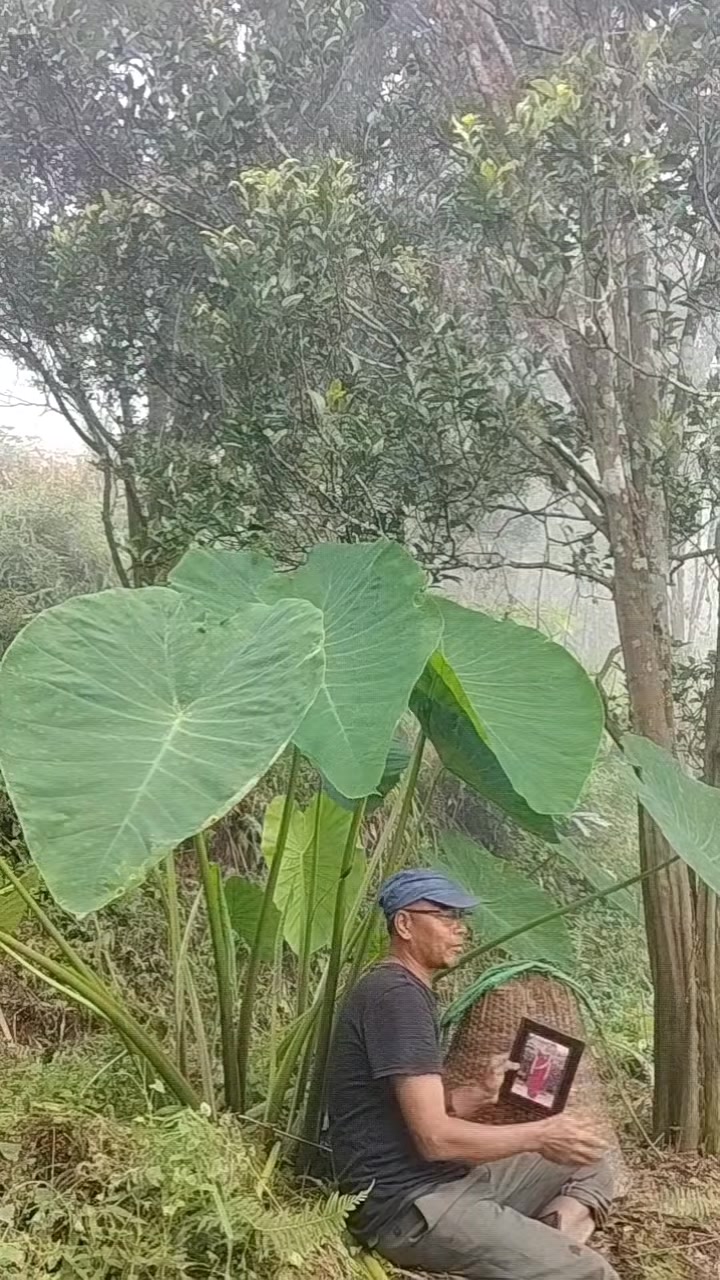 @उत्तम प्रताप जंग बहादुर राणा