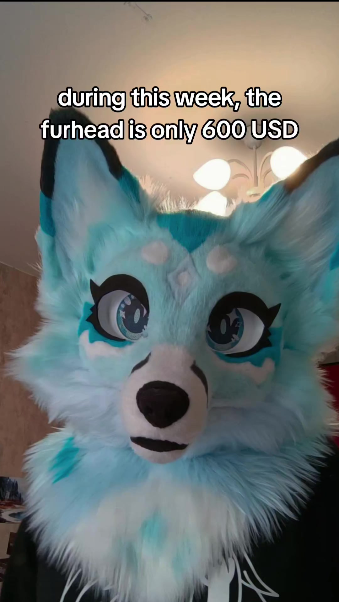 @LeraWolf_workshop