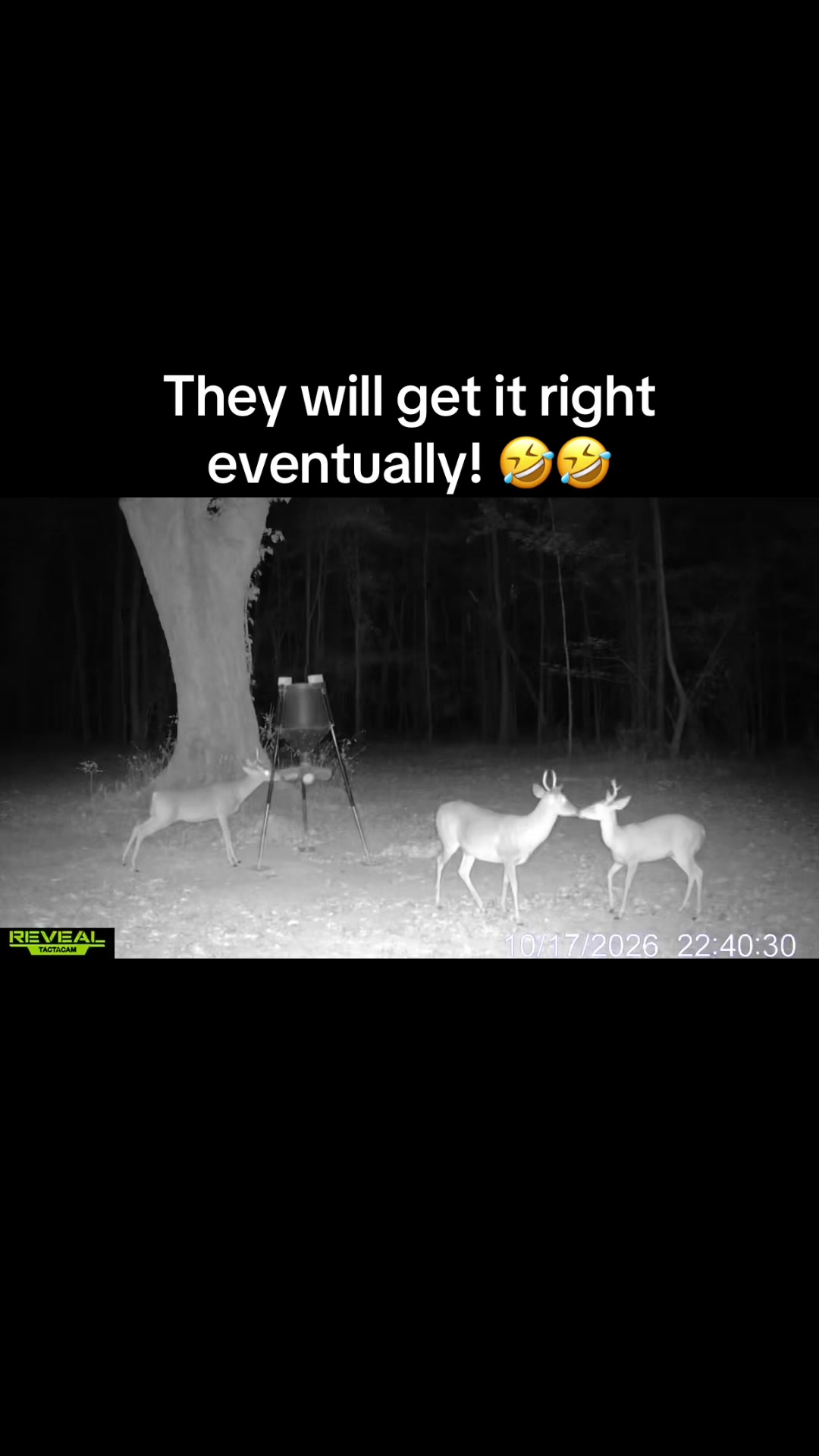 @Toi Batton_GIGI_WTBuckOutdoors