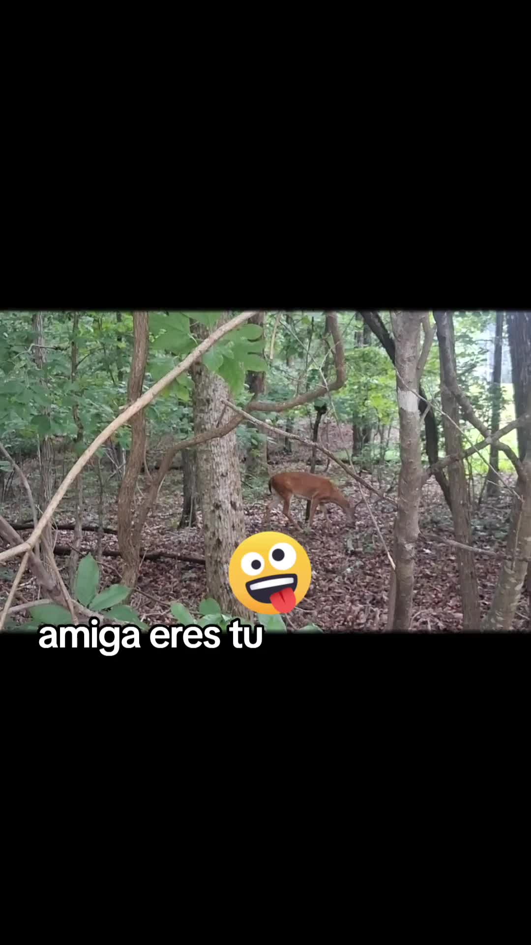 @Aretloserdam