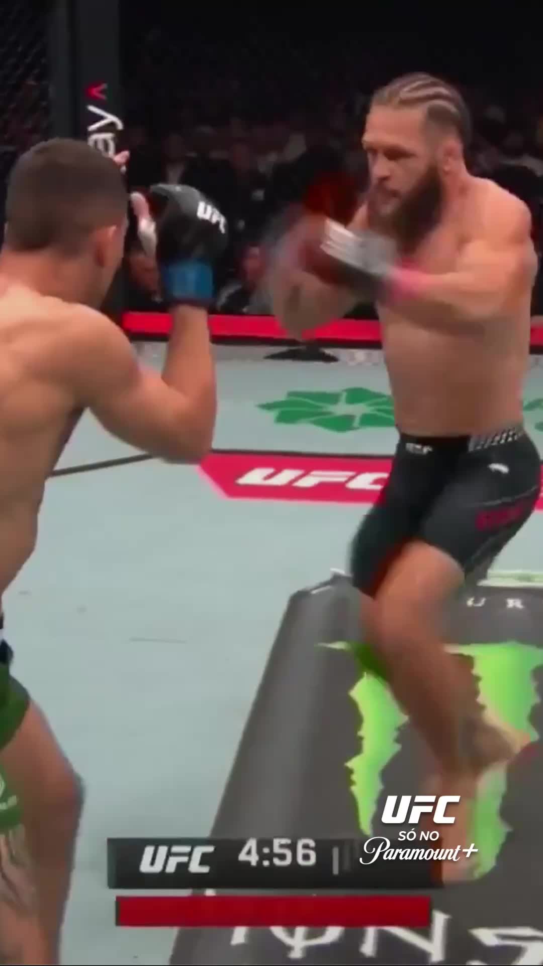 @UFC Brasil