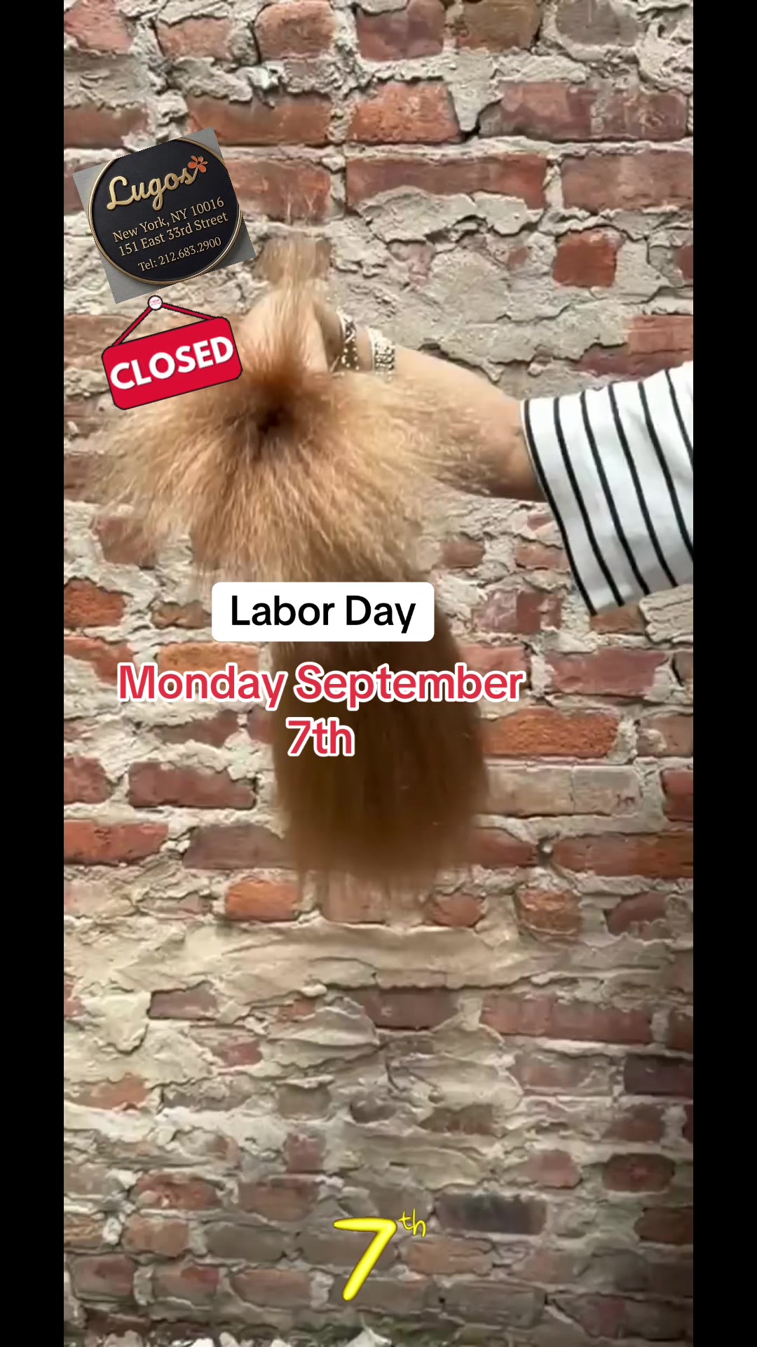 @Lugo’s Hair