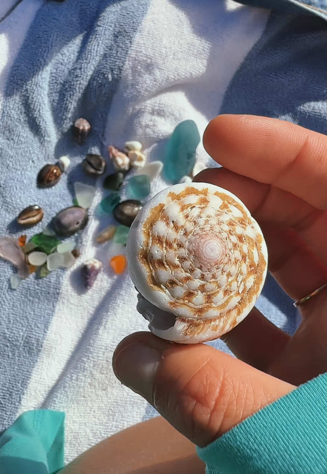 @Islandshells