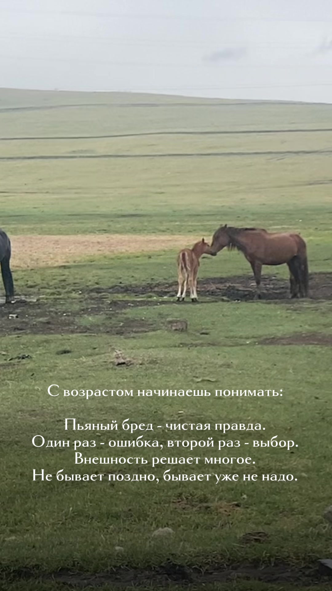 @ТГК Малиновый закат💋