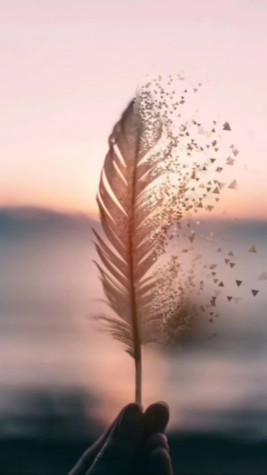 @❤️Cam positive ✨🌸