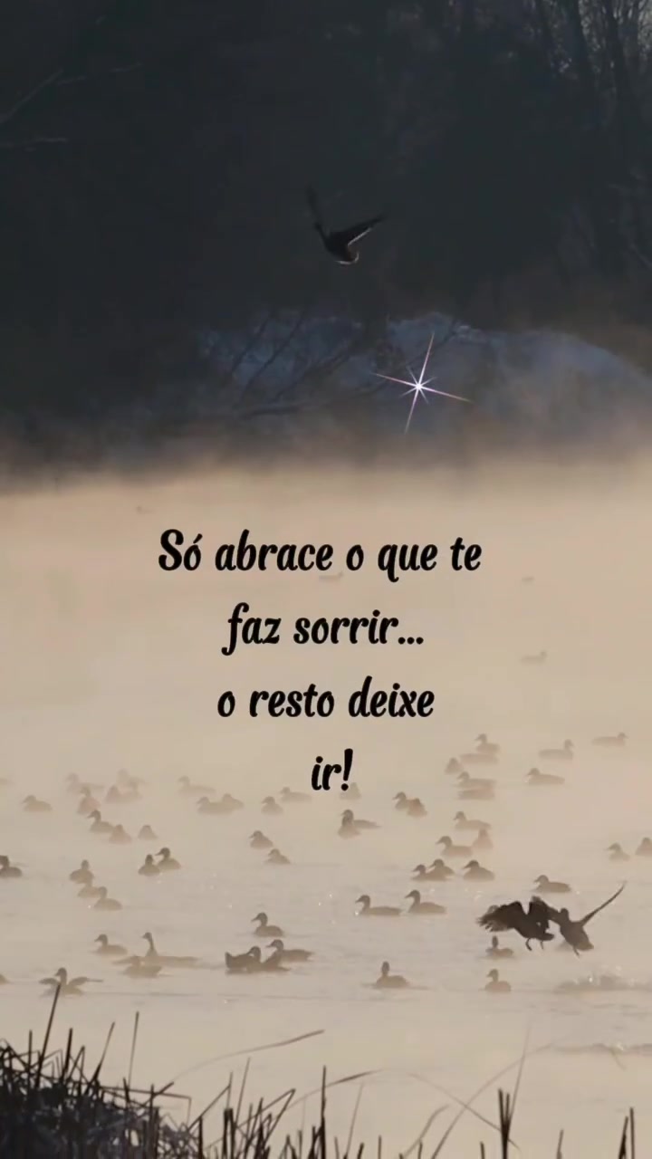 @Cris Carvalho