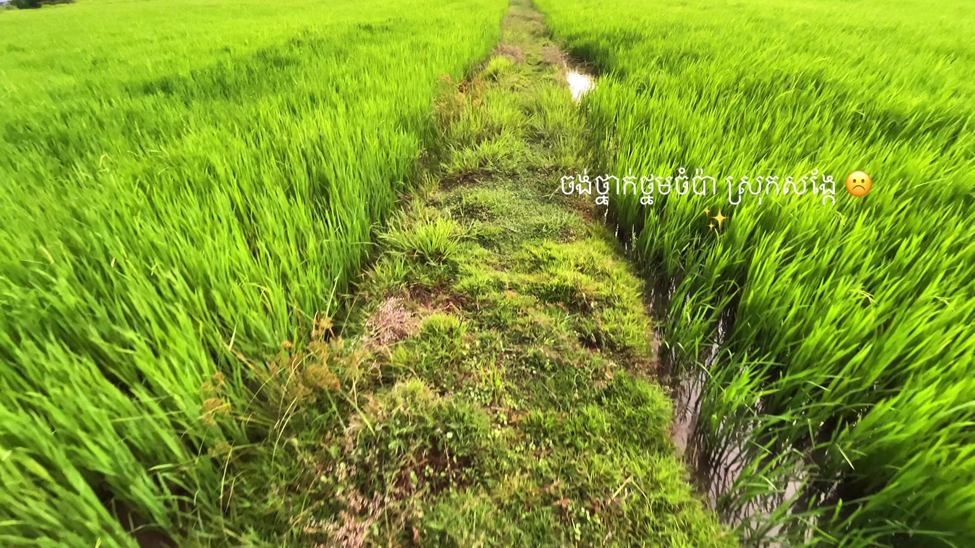 @NITH -និត 💥