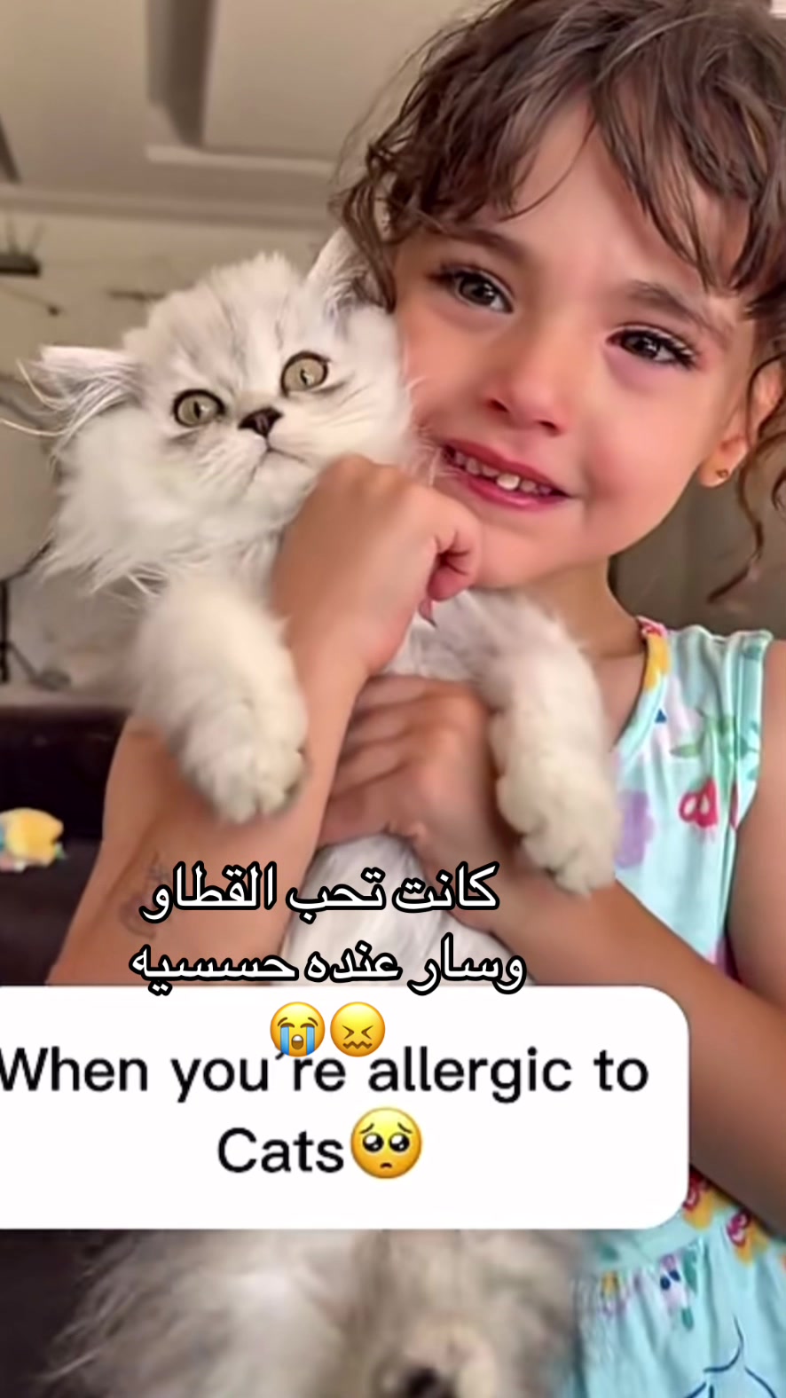 @فانز امينه جود ماريا كتاليا ✨