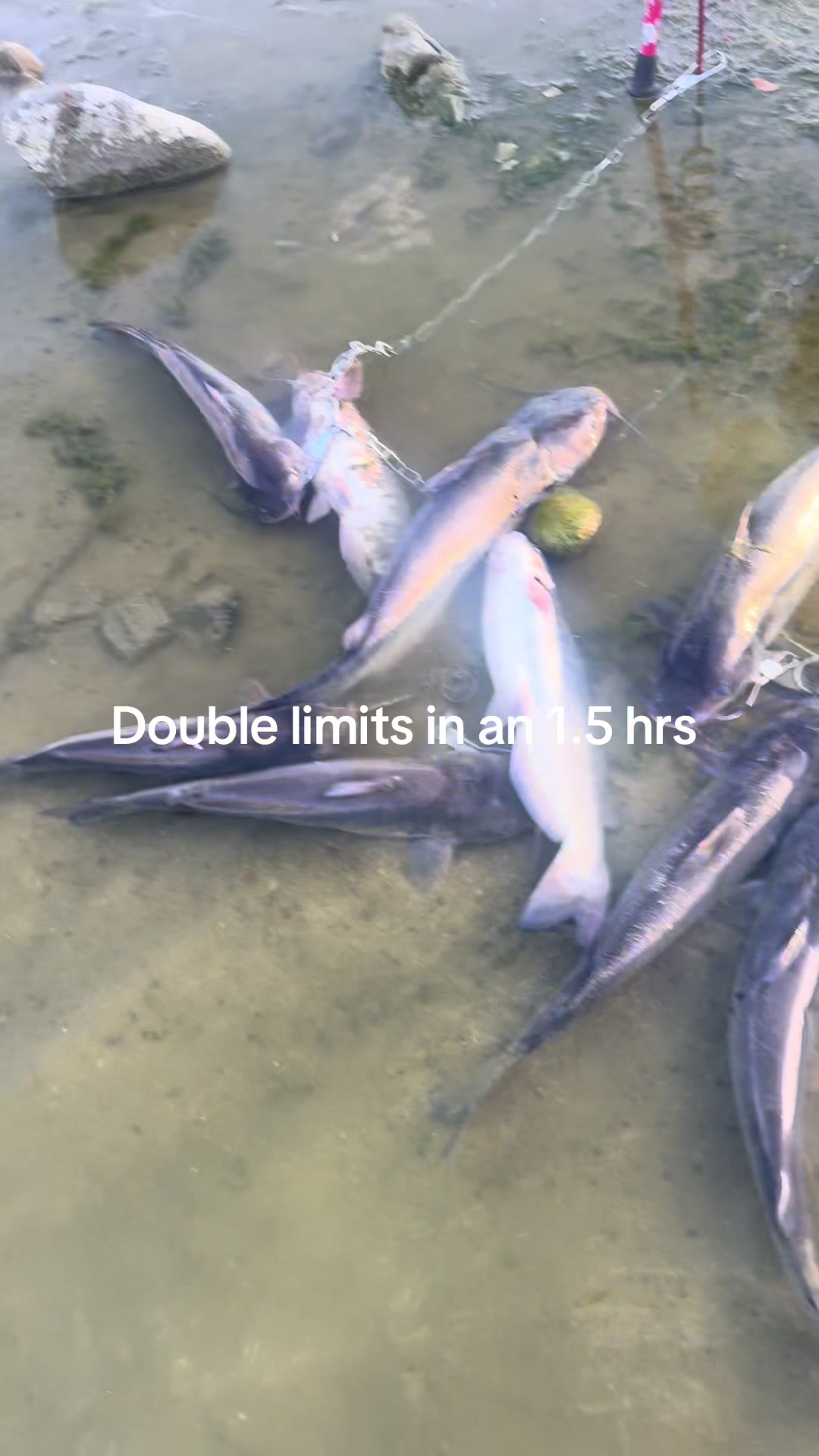 @Scoobs_fishing