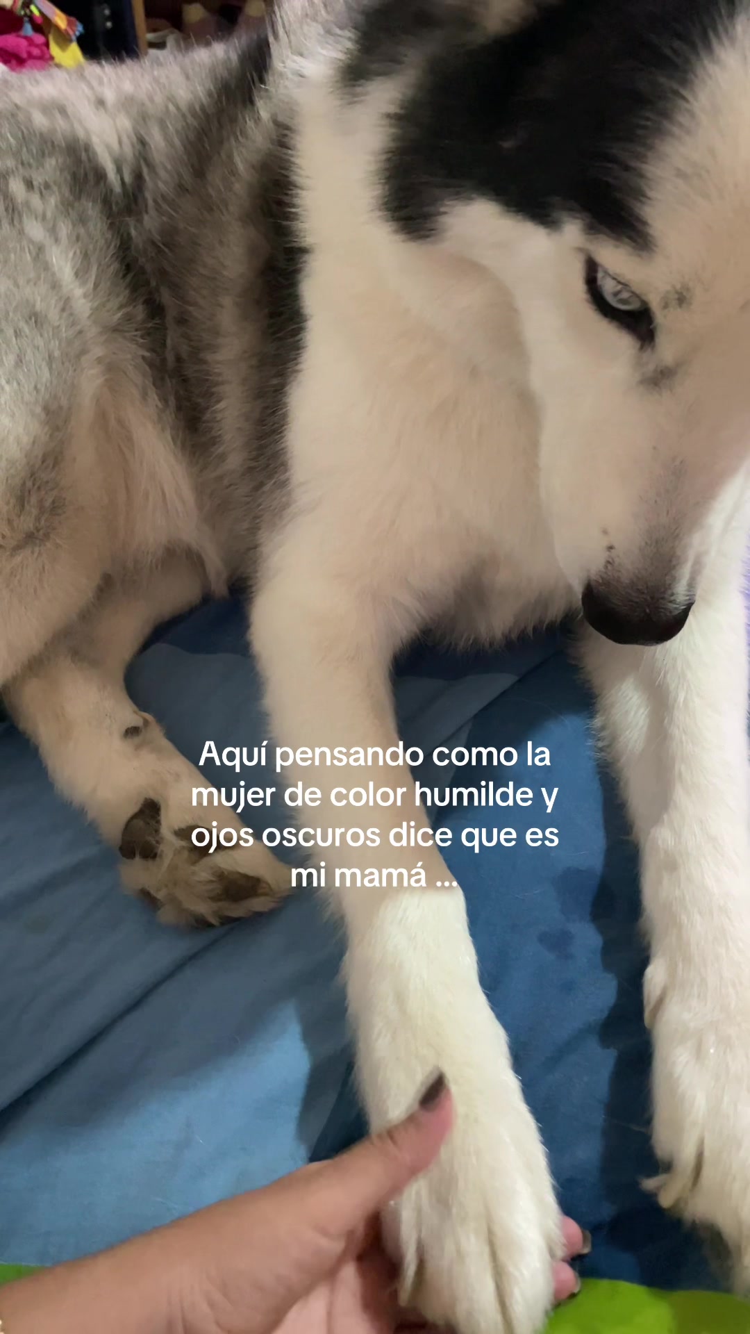 @Elisa Acosta