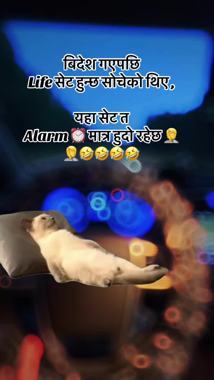 @Meow🐈&zwj;⬛