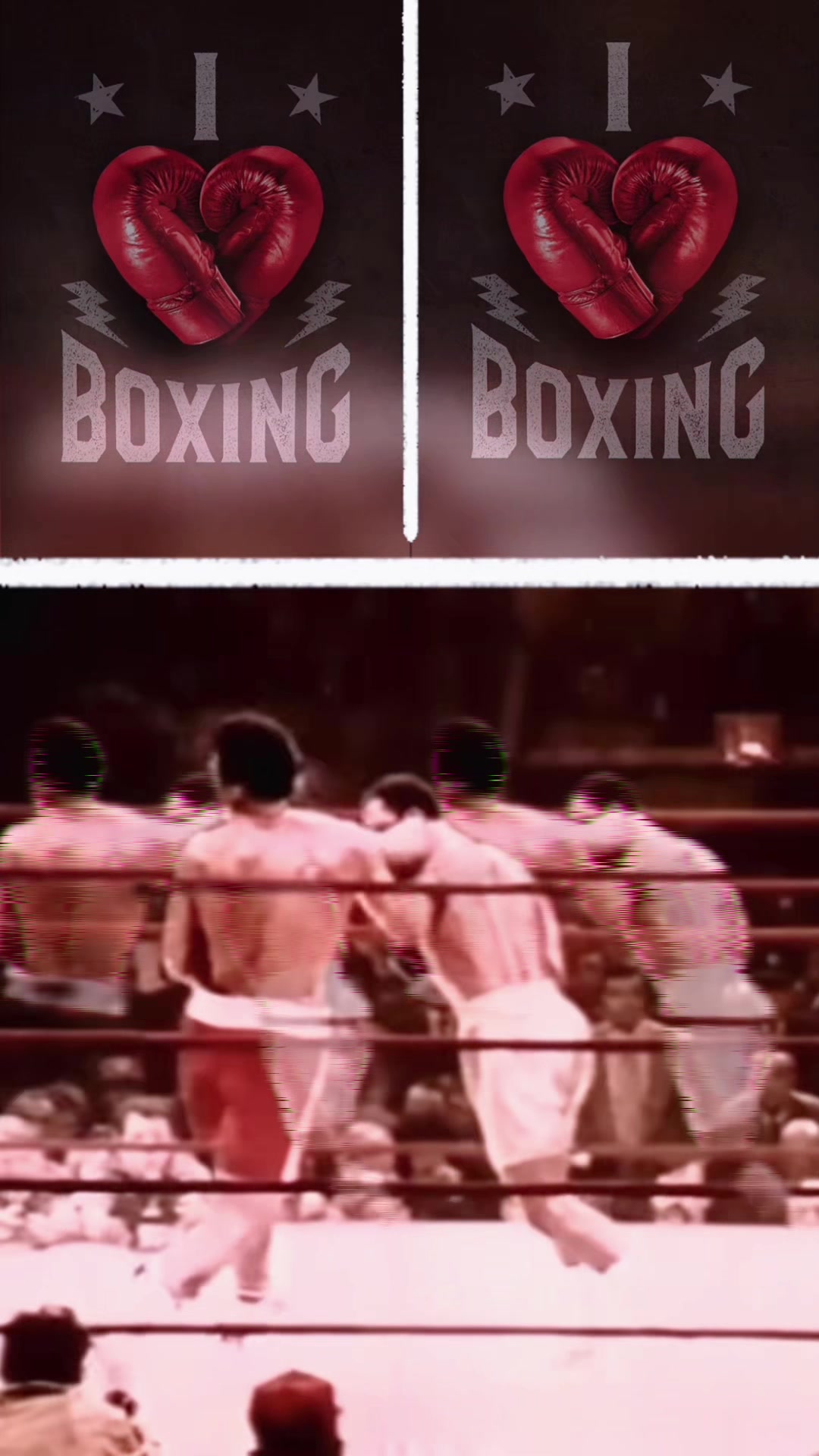 @iBOXE.shop