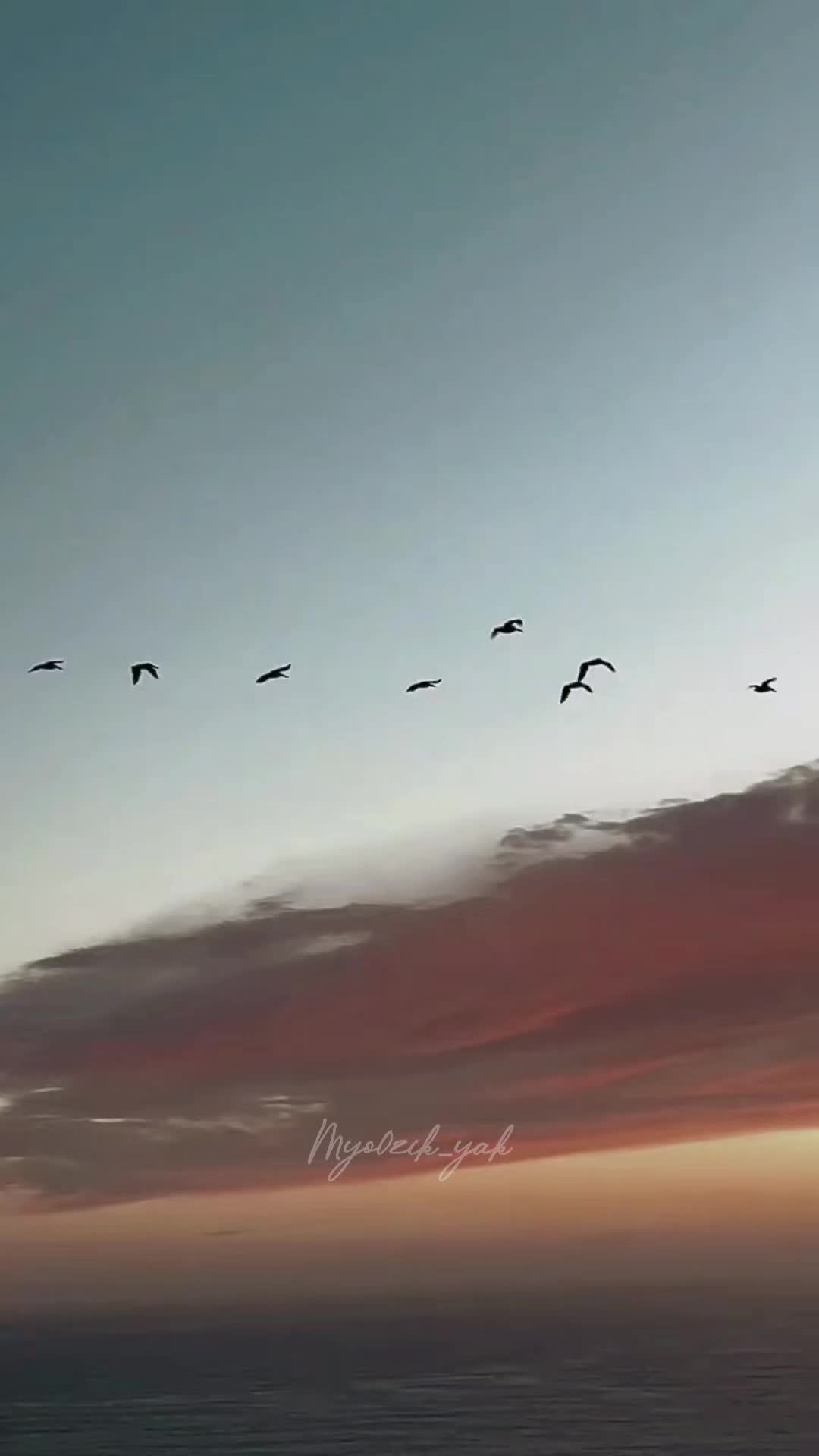 @ꪑꪗꪮ੦ɀỉƙ_ꪗꪖƙ ♪♫♬ 🧬