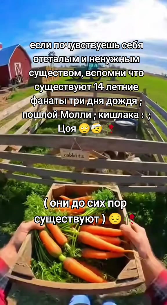 @волк с сво стрит