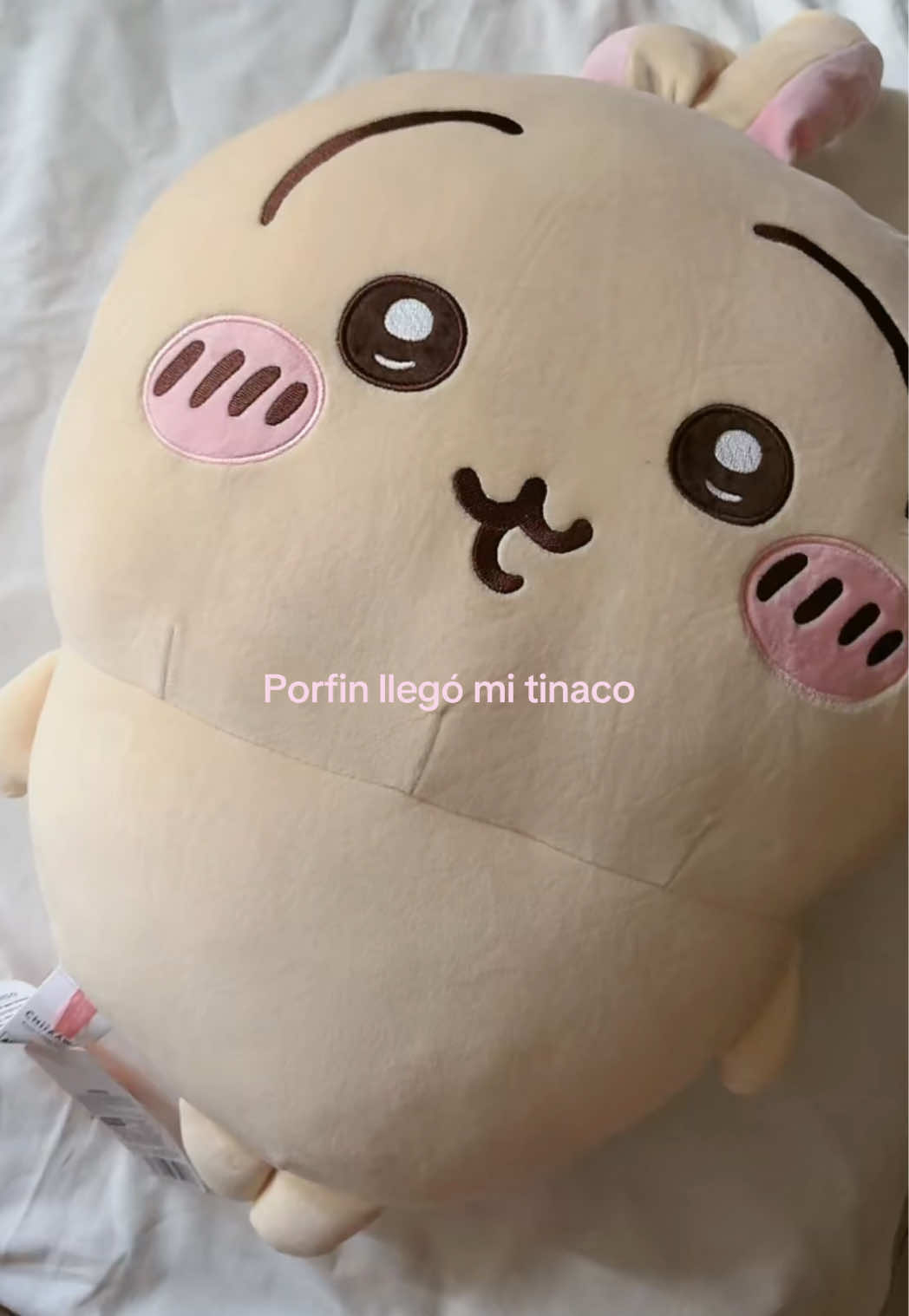 @Nosoymer ✩