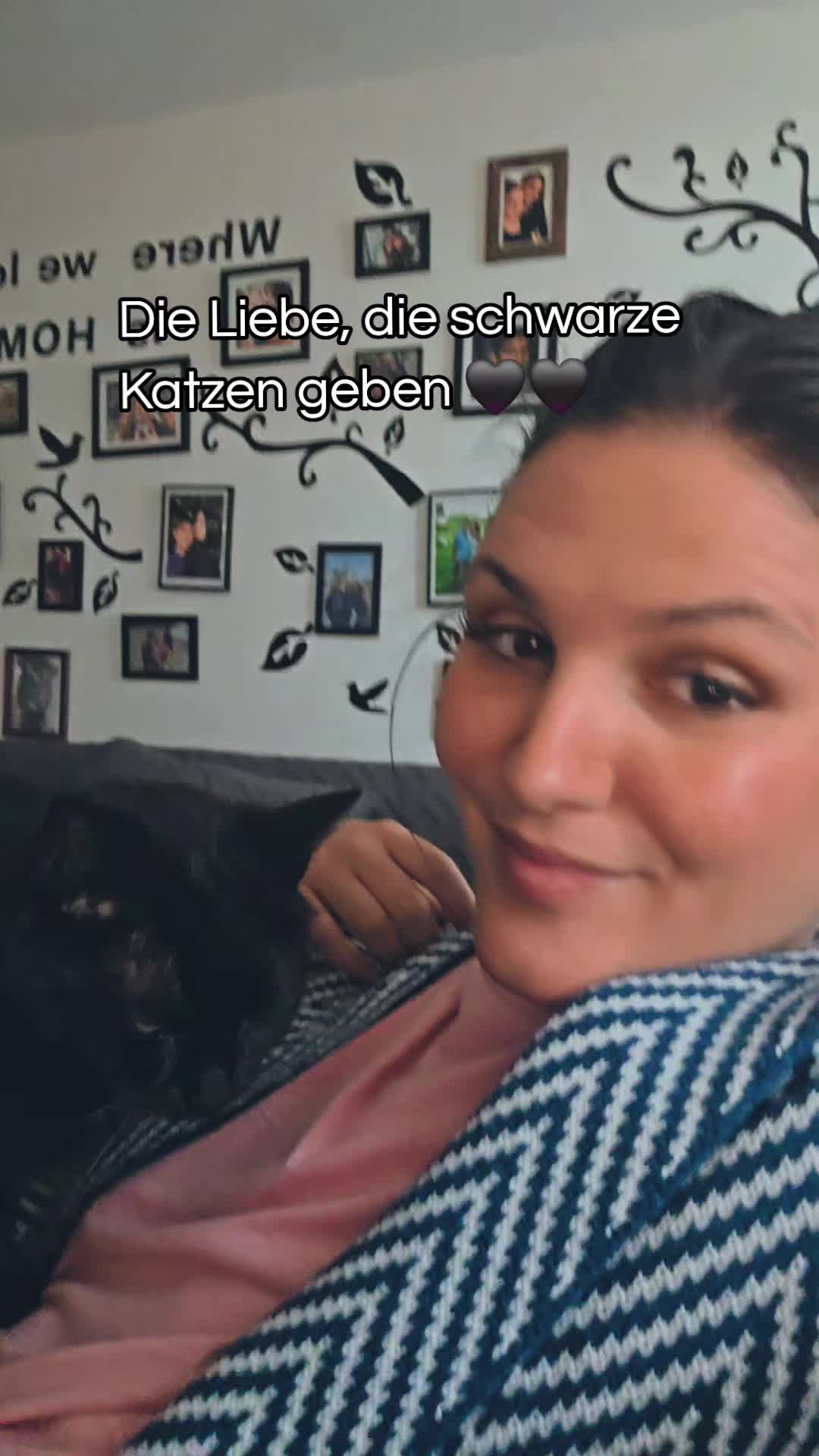 @Rodriguez & Cats ๐๐พ
