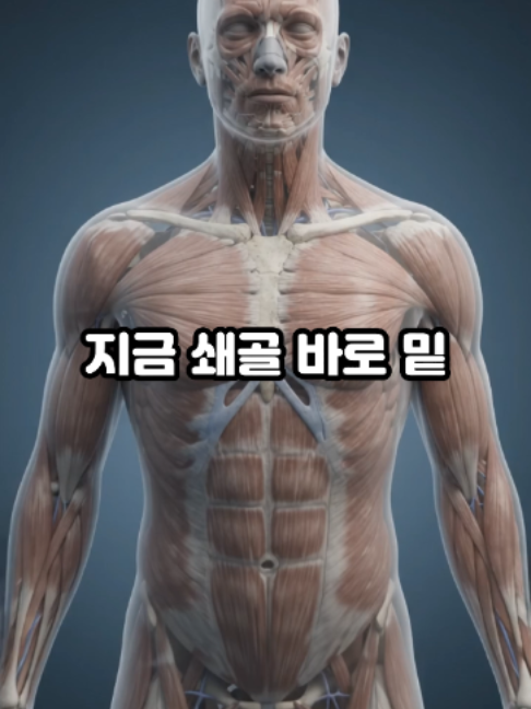 @견우한의원