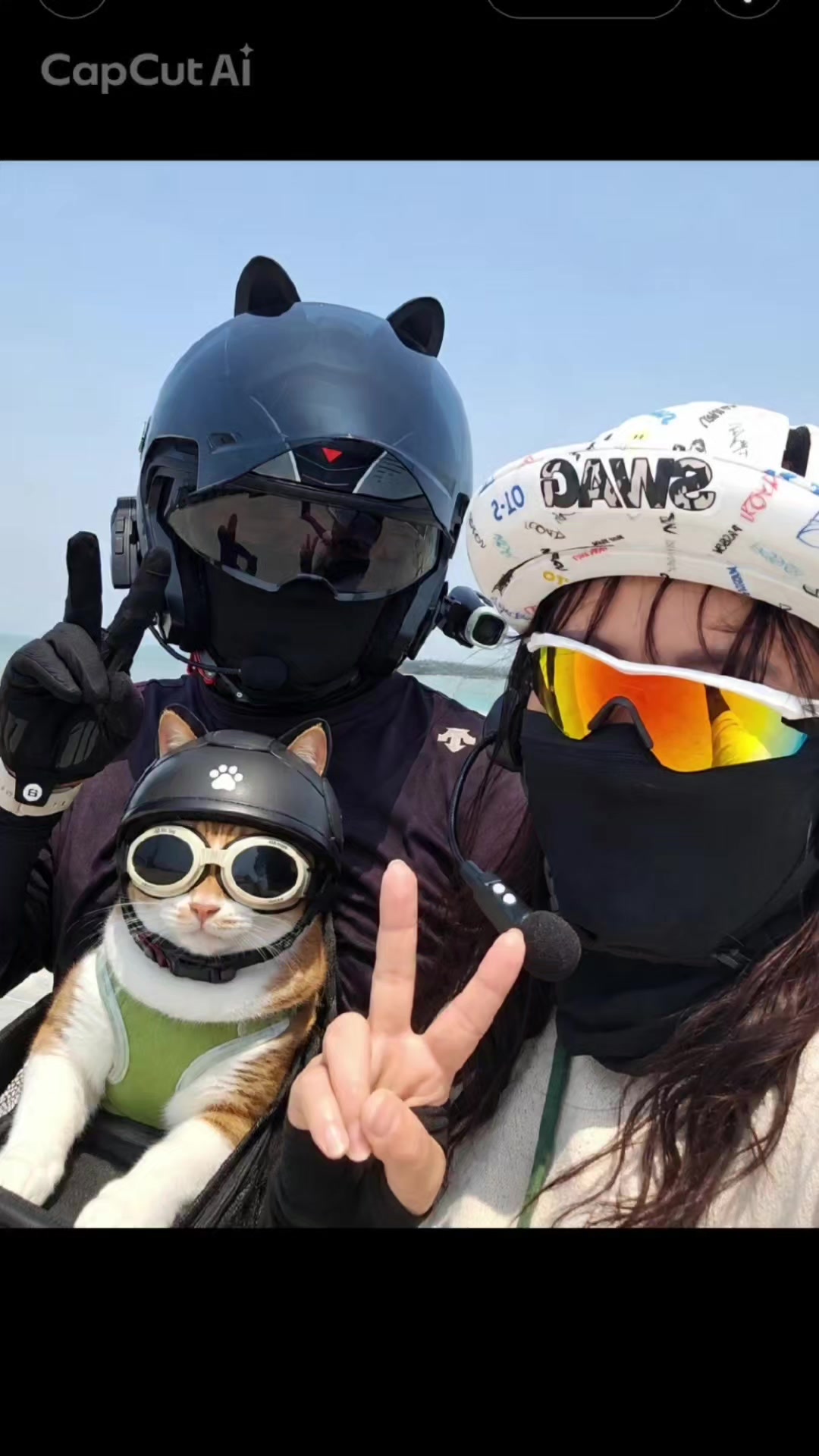 @오로라공주