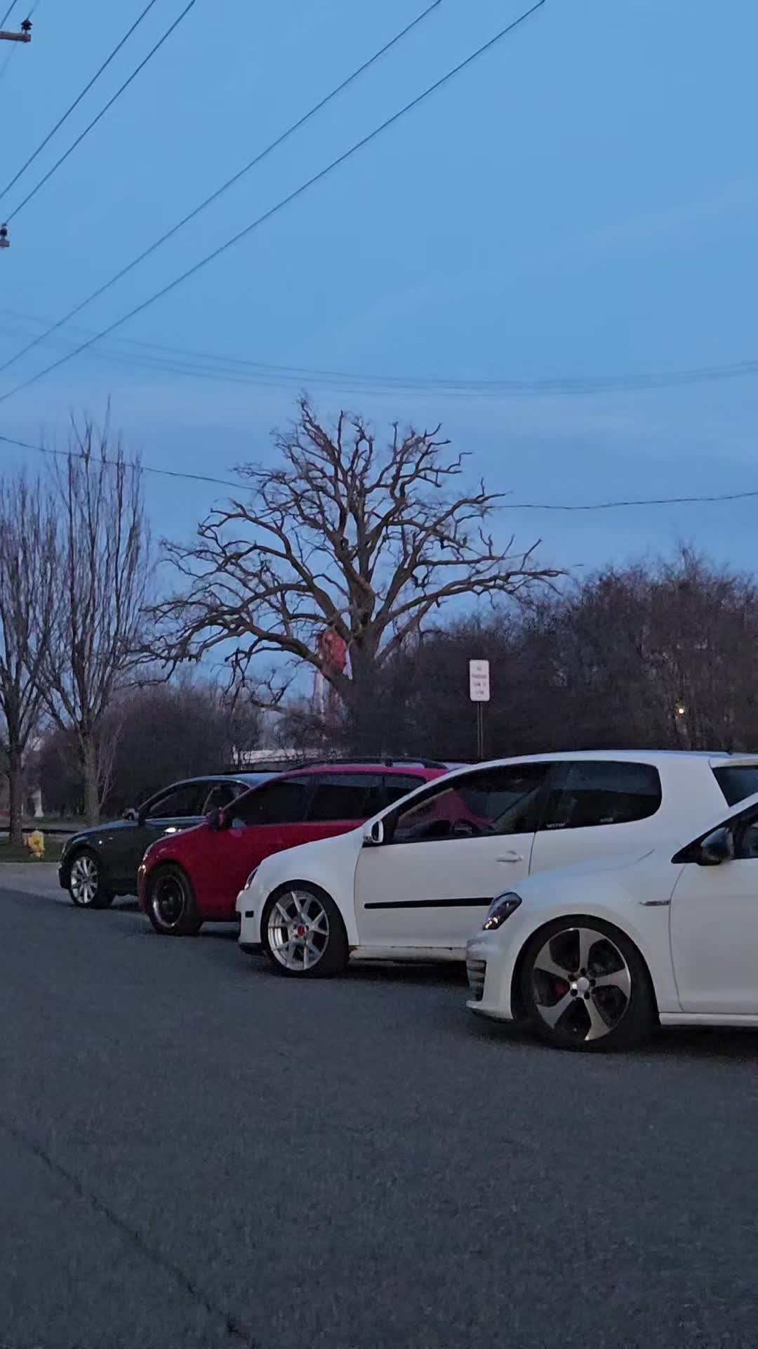 @musTURDstang