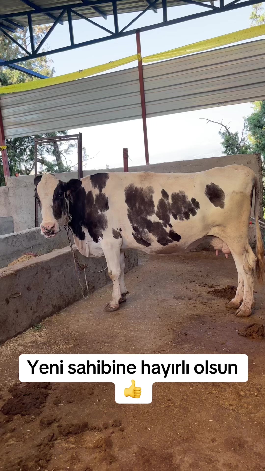 @Süleyman Güllü