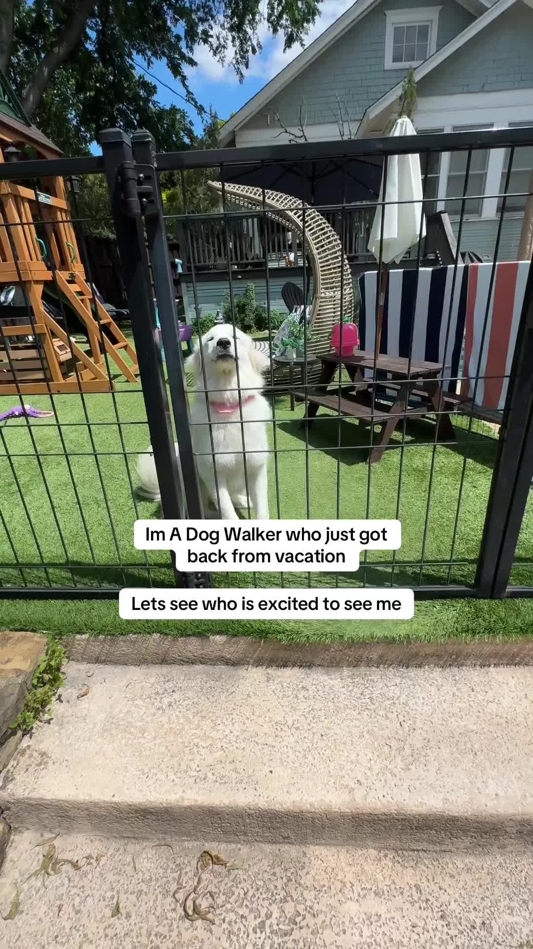 @dallasdogwalker