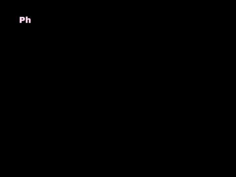 @𝔐𝔢𝔵