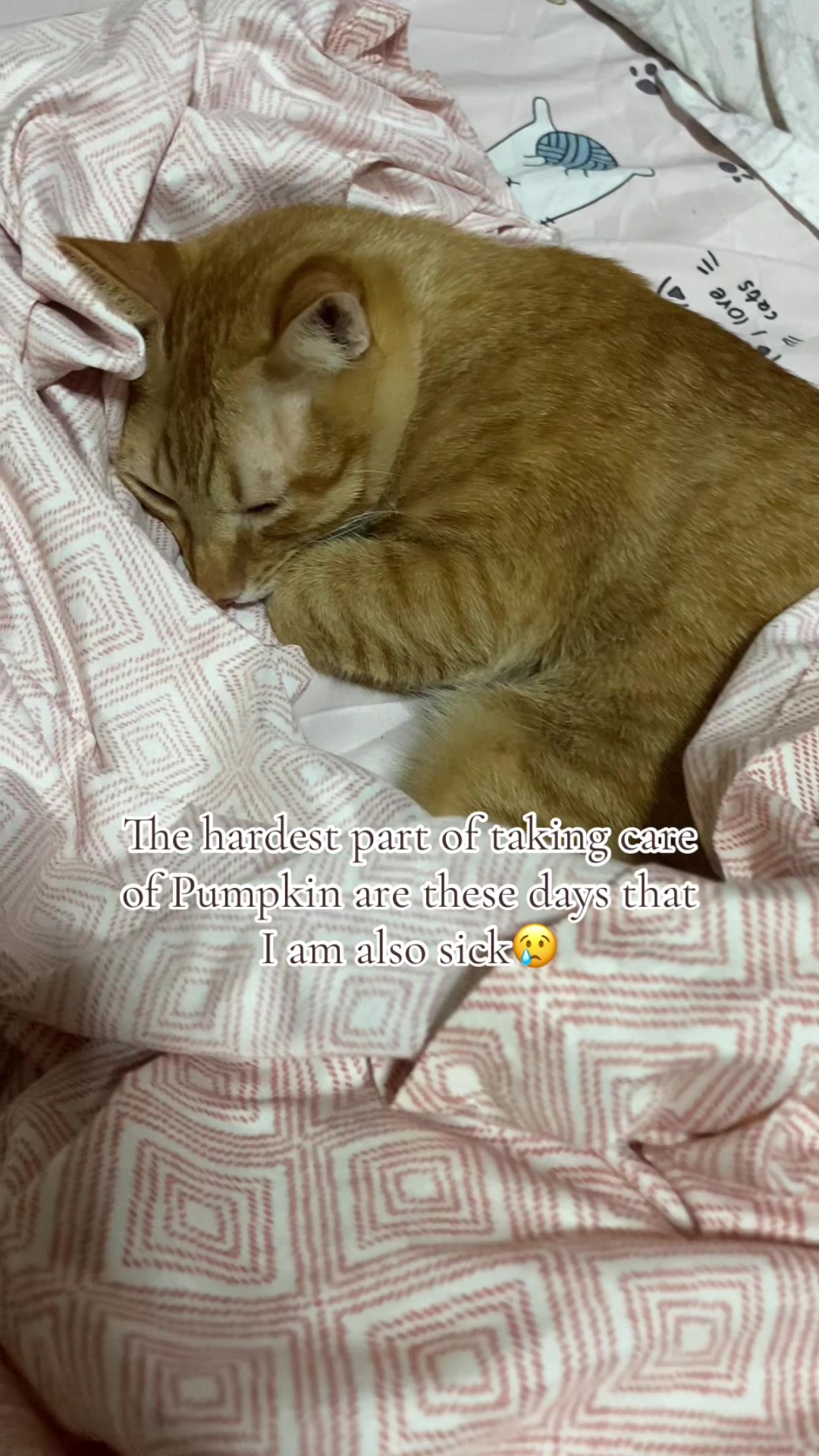 @eilliebear