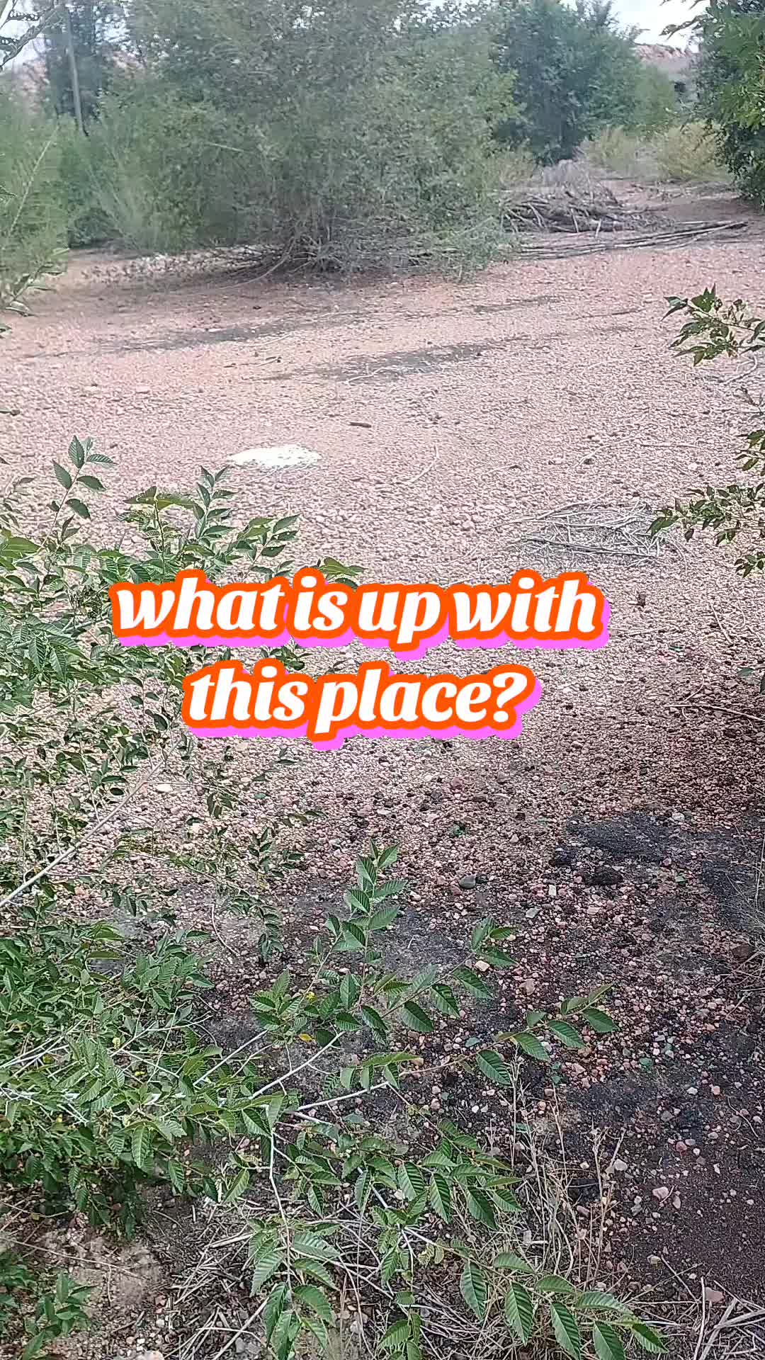 @Skinwalker Hunters