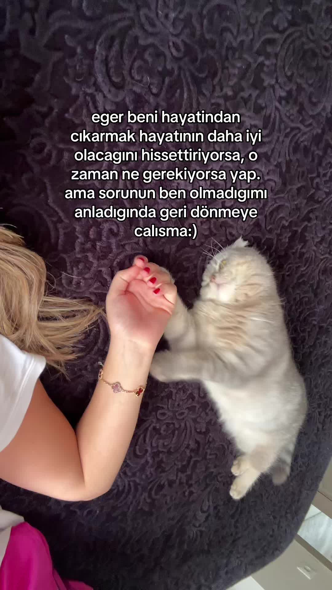 @begum ⭐️