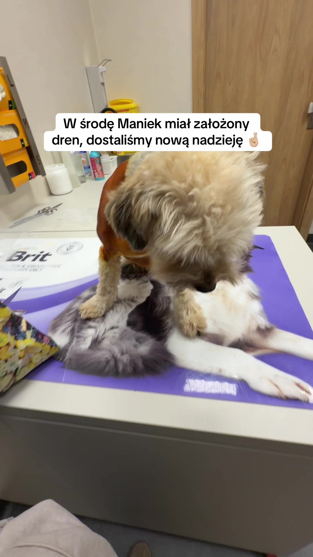 @p.brzoskowska