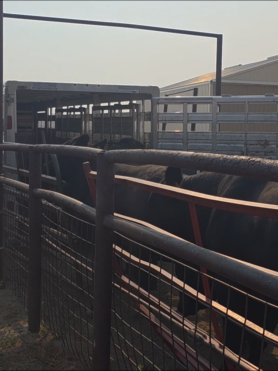 @wyomingrancher