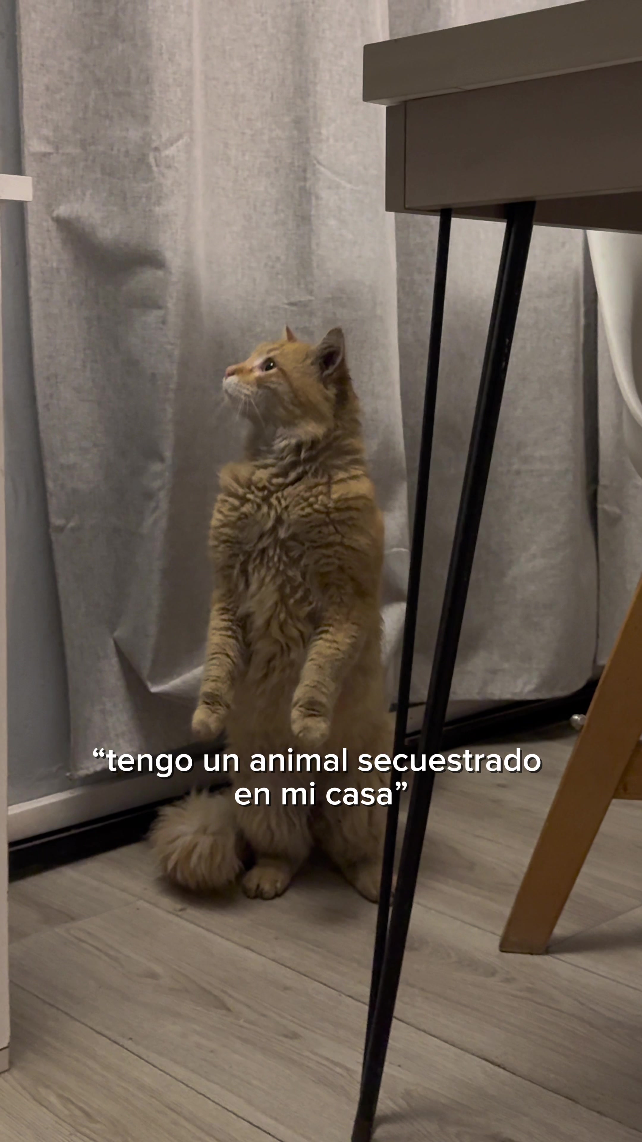 @Lucia Serenaa